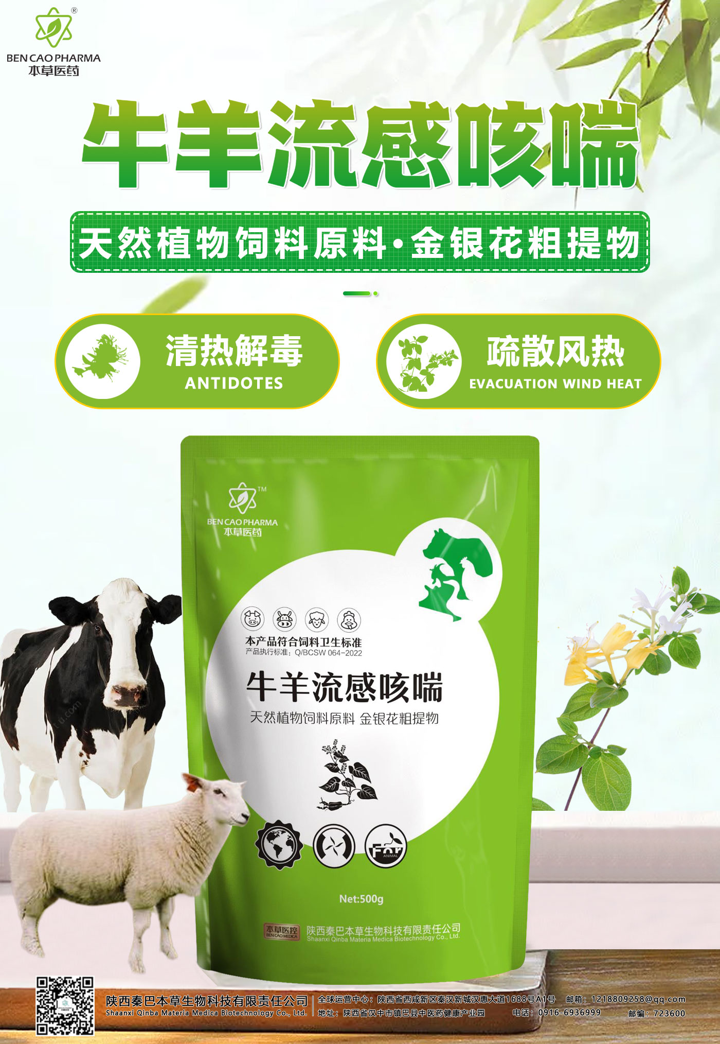 Cow and sheep flu cough and asthma